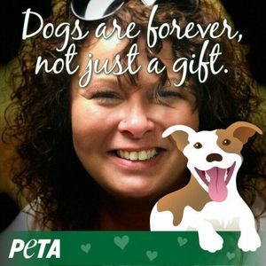 Meet your Posher, Mandy